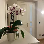 Asfodelo 布拉